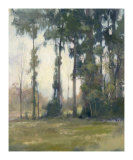 Woods Edge I