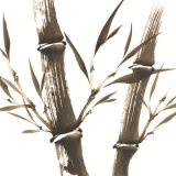 Buy Nature's Serenity II at AllPosters.com