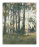Woods Edge II