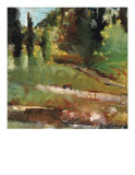 A Walk in the Woods V