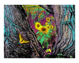 Buy Through the trees at AllPosters.com