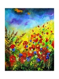 Buy Red Poppies and Bluebells at AllPosters.com