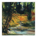 Buy A Walk in the Woods II at AllPosters.com