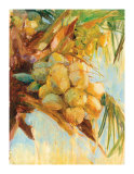 Buy Golden Coconuts at AllPosters.com