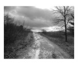 Gravel Journey BW Photographic Print