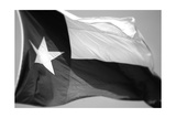 Buy Texas Flag BW at AllPosters.com