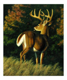 Buy Indecision at AllPosters.com