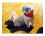 Buy lhasa apso at AllPosters.com
