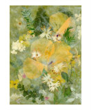 Yellow Splendor