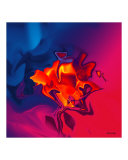 Buy Red Rose at AllPosters.com