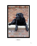 Buy Relax at AllPosters.com