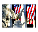 Eagle and Flags