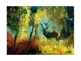 Buy A Stag in the Wood at AllPosters.com