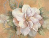 Camellia on Honey I