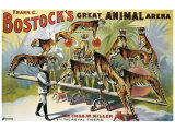 Bostock's Great Animal Arena