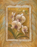 Buy Illuminated Orchid II at AllPosters.com