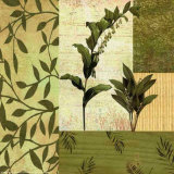 Buy Botanical Leaves II at AllPosters.com