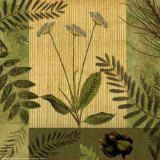 Buy Botanical Leaves I at AllPosters.com