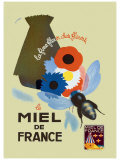 Miel de France