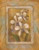 Buy Illuminated Orchid I at AllPosters.com