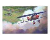 Buy Albatros D-Vs Climbing over Airfield at AllPosters.com