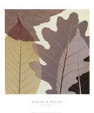 Four Leaves I