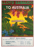Lloyd Sabaudo to Australia
