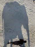 Buy Mahout Walks along the Shadow of the Elephant, Patna, India at AllPosters.com