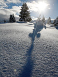 Snowy Landscape, Arosa, Switzerland
