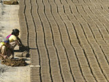 Buy India International Women's Day, Jammu at AllPosters.com