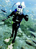 Buy Desert Diving, Toyahvale, Texas at AllPosters.com