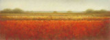 Buy Field of Poppies at AllPosters.com