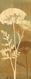 Queen Anne's Lace I