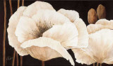Buy Amazing Poppies III at AllPosters.com
