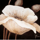 Buy Amazing Poppies II at AllPosters.com