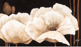 Buy Amazing Poppies IV at AllPosters.com