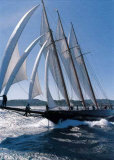 Shenandoah