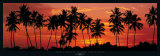 Island in the Sun