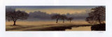 Buy A Perfect Morning I at AllPosters.com