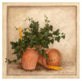 Buy Lierre et Pots I at AllPosters.com