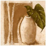 Buy Ficus at AllPosters.com