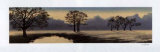 Buy A Perfect Morning II at AllPosters.com