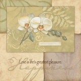 Buy Happiness, Orchid at AllPosters.com