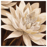 Buy Enchanting at AllPosters.com