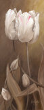 Buy Sepia Tulip Panel II at AllPosters.com
