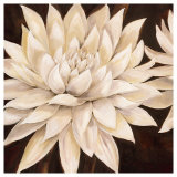 Buy Gorgeous at AllPosters.com