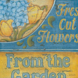 Buy Hydrangea II at AllPosters.com