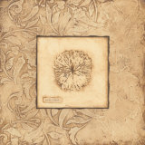 Buy Rose Coral at AllPosters.com