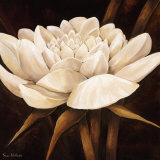 Buy Delightful at AllPosters.com