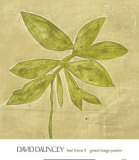 Leaf Fresco III